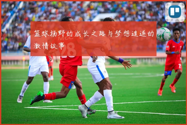 篮球杨野的成长之路与梦想追逐的激情故事