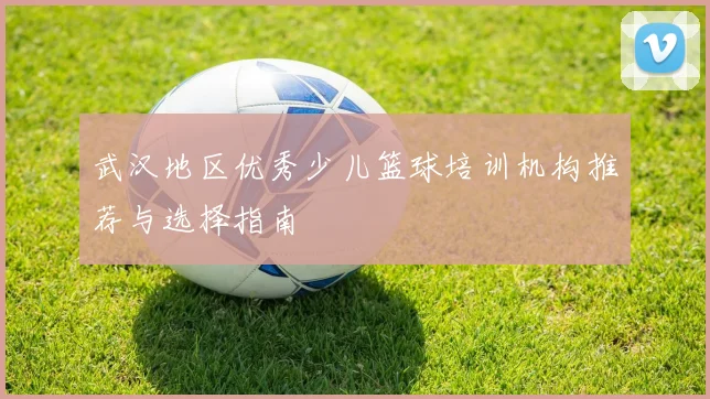 武汉地区优秀少儿篮球培训机构推荐与选择指南